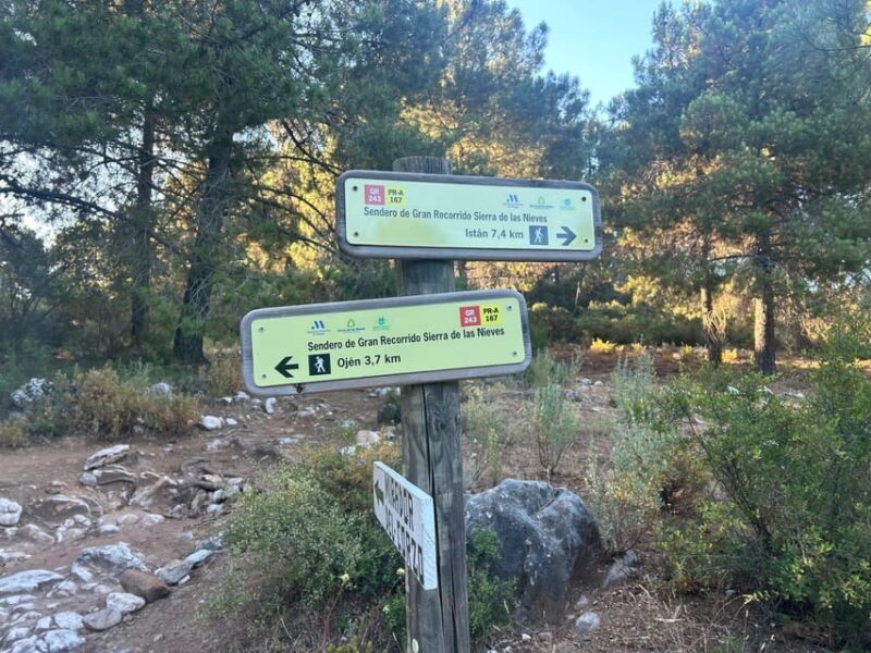 Marbella: "La Concha" mountain tour including snack and drink - Returning and Reflecting