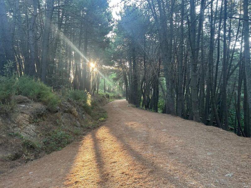 Marbella: "La Concha" mountain tour including snack and drink - Who Should Consider This Experience?