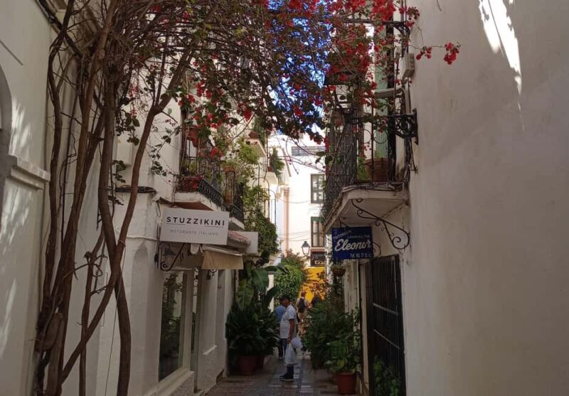 Marbella: Private Tour of the Historic Center - FAQs