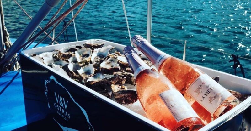 Marbella: Puerto Banús Private Sailing Cruise with Drinks - Key Points
