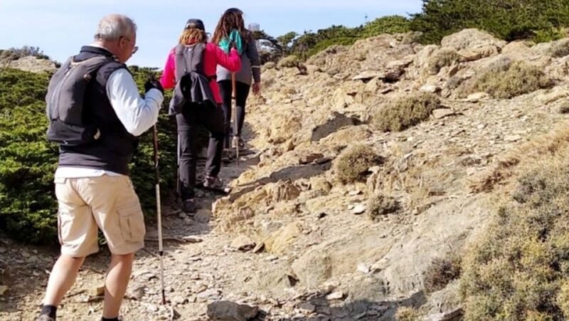 Marbella: Sierra de las Nieves National Park Hiking Day Trip - Marbella: Sierra de las Nieves National Park Hiking Day Trip — A Natural Escape into Andalusia’s Wilderness