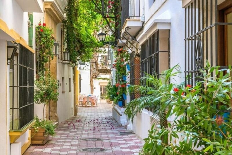 Marbella : Walking Custom Tour with a Local Guide - Who Should Book This Tour?