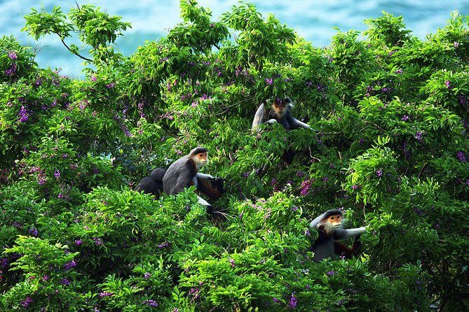 Marble mountain, Am Phu cave and Monkey mountains group tour - Lunch and Logistics