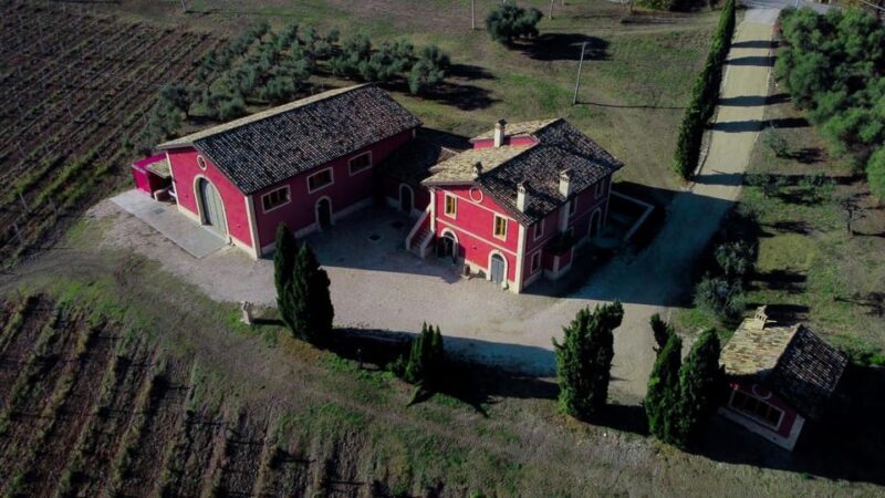 Marche: Tasting and Tour of Local Wines and Tastes at D'Erasmo Winery - Exploring the D’Erasmo Winery Experience in Detail