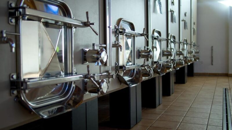Marche: Tasting and Tour of Local Wines and Tastes at D'Erasmo Winery - FAQ