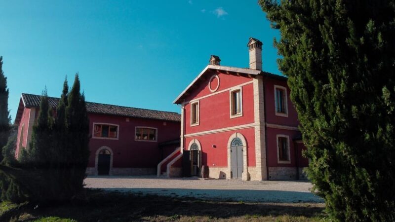 Marche: unique visit and tasting at D'Erasmo Winery among signature wines - In-Depth Review of the DErasmo Winery Tour