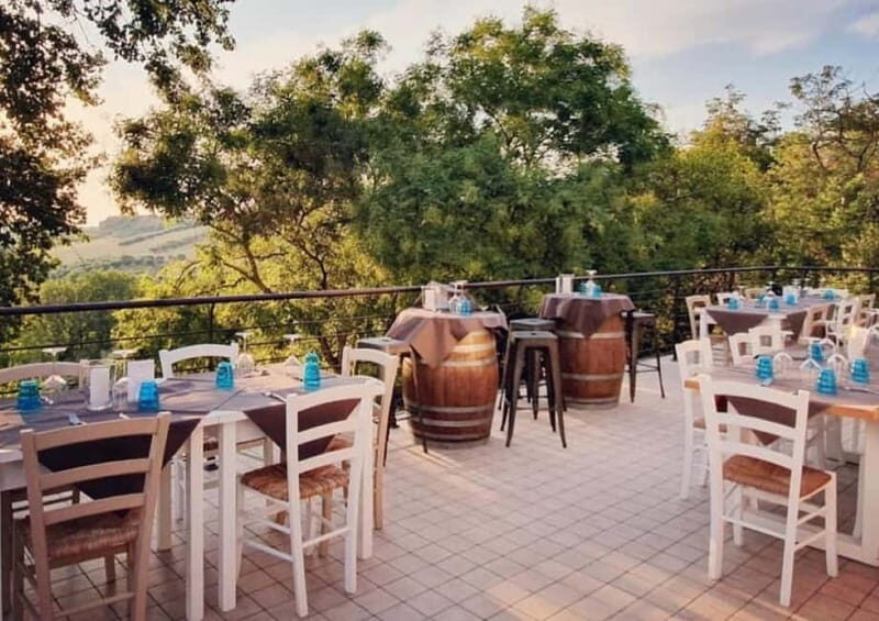Marche Wines: Explore the Richness of Local Flavors - Why This Tour Offers Great Value