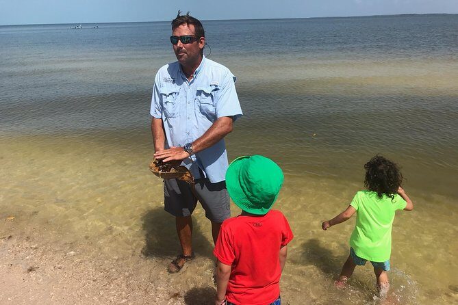 Marco Island: 2-Hour Dolphin, Birding, and Shelling Tour - The Sum Up