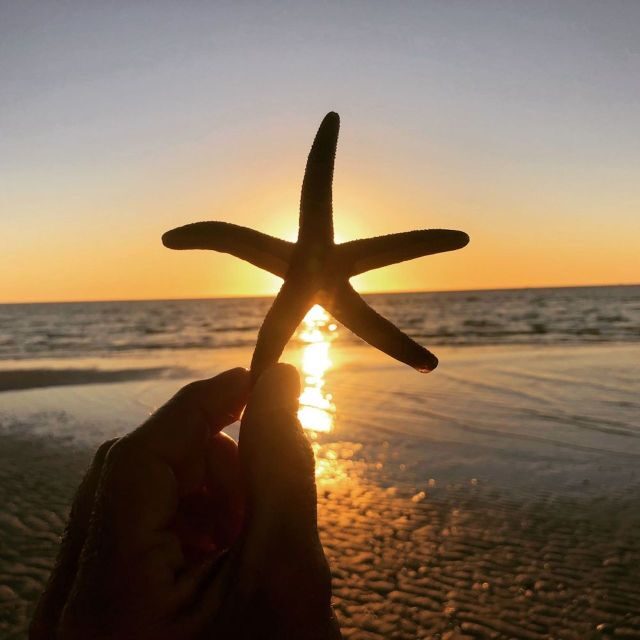 Marco Island: 2 Private Hour Sunset Boat Tour - Exploring the Experience in Detail