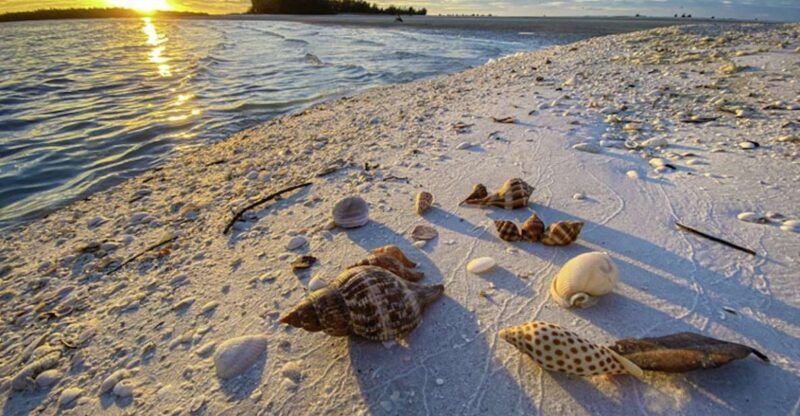 Marco Island: 2 Private Hour Sunset Boat Tour - Customization and Flexibility