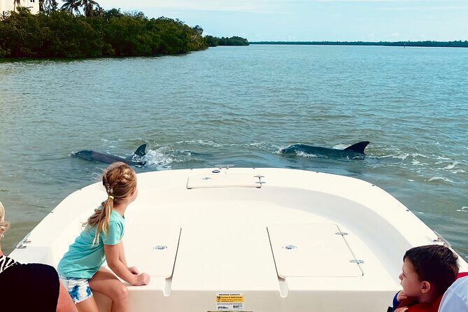 Marco Island and 10,000 Islands Sightseeing with Dolphin Tour - A Detailed Look at the Tour Experience