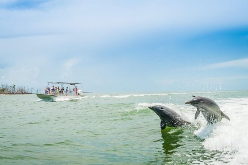 Marco Island: Dolphin-Watching Boat Tour - A Deep Dive into the Experience