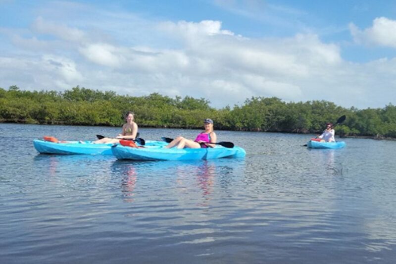 Marco Island: Guided Manatee-Watching Kayaking or SUP Tour - FAQ