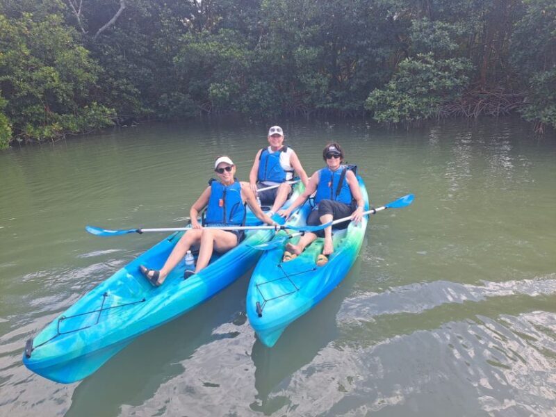 Marco Island: Kayak Mangrove Ecotour in Rookery Bay Reserve - The Sum Up