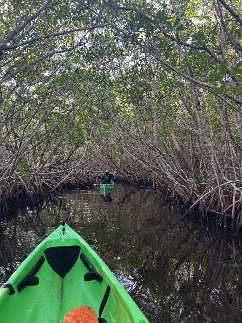 Marco Island: Mangrove Maze Kayak Tour (2hrs) - An In-Depth Look at the Mangrove Maze Kayak Tour