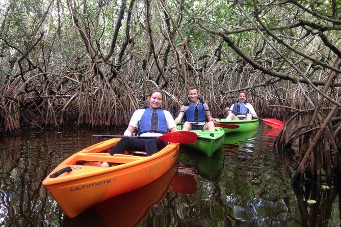 Marco Island Mangrove Tunnel and Maze Adventure Small group size - An Authentic Kayaking Adventure Through Florida’s Mangroves