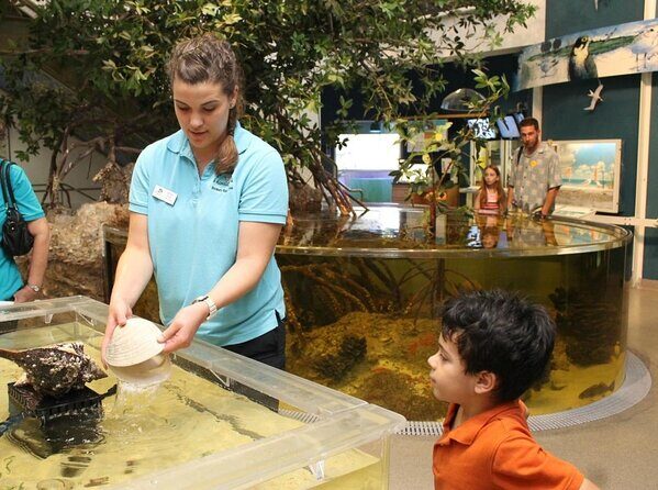 Marco Island Mangrove Tunnel and Maze Adventure Small group size - Key Points
