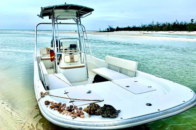Marco Island Private Tubing, Dolphin Watching and Shelling Tour - Authentic Traveler Perspectives