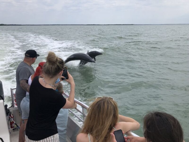 Marco Island: Ten Thousand Islands Shelling & Dolphin Tour - Who Should Consider This Tour?