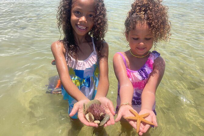 Marco Island Wildlife Sightseeing and Shelling Tour - A Deep Dive into the Wildlife and Shelling Experience