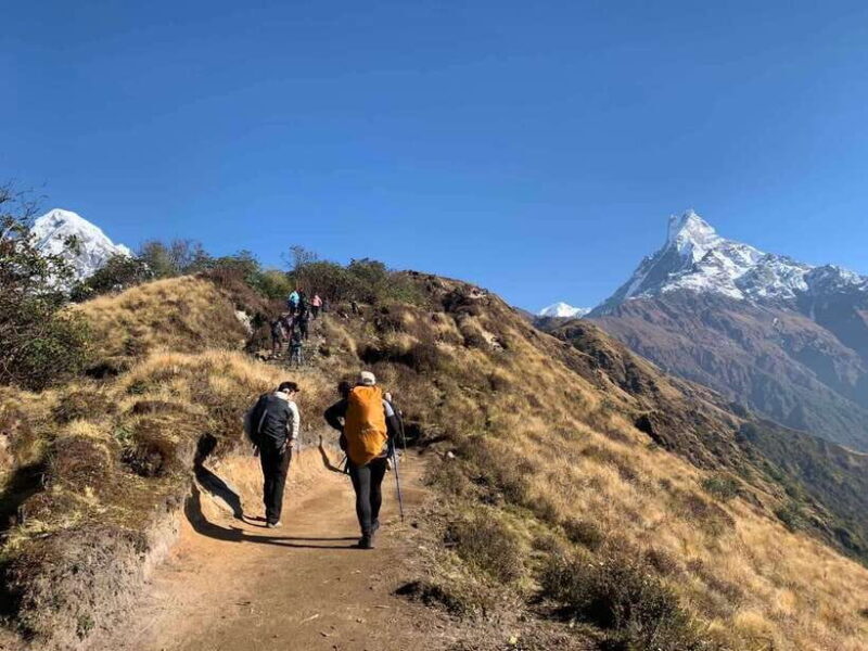 Mardi Himal Base Camp Trek 7 Days - Key Points
