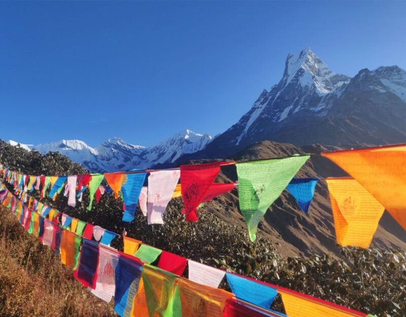 Mardi Himal Base Camp Yoga Trek 7-Day - Exploring the Journey: An In-Depth Look