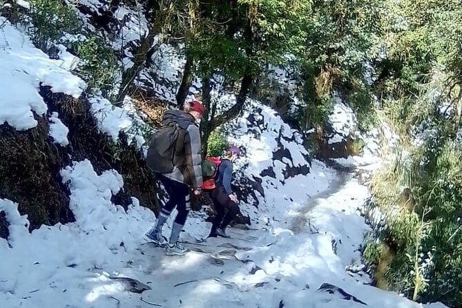 Mardi Himal Trek - Day 4: Down to Landruk