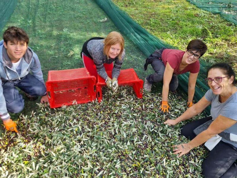 Maremma: Oil tasting with an aperitif of typical products - Discover the Flavors of Tuscany with an Olive Oil and Local Products Tasting in Maremma