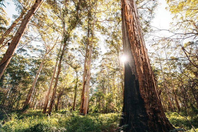 Margaret River 3 Day Escape - A Detailed Look at the Margaret River 3 Day Escape