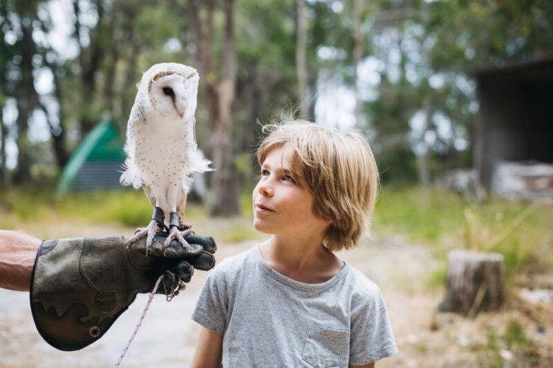 Margaret River: Birds of Prey Encounter and Forest Walk - FAQs