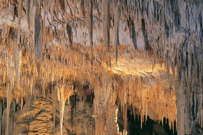 Margaret River, Caves, Wine and Cape Leeuwin Lighthouse Tour from Perth - Analyzing the Value