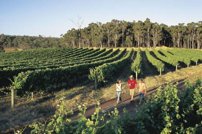 Margaret River, Chocolate, Wine & Coast Day Trip from Perth - A Detailed Look at the Margaret River, Chocolate, Wine & Coast Day Trip