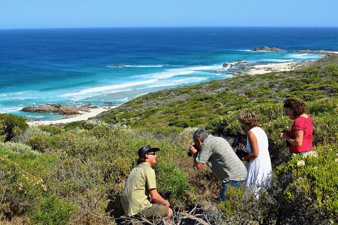 Margaret River Coastal and Wildlife Eco Trip from Busselton or Dunsborough - Experience the Best of Margaret River’s Coast and Wildlife in Just Over Three Hours