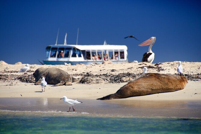 Margaret River Day Tour With Wildlife Cruise & Wine Tasting - Discover the Best of Margaret River and the WA Coast in One Day