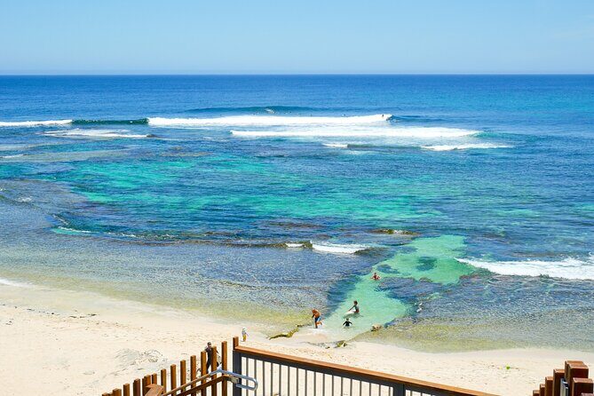 Margaret River Day Tour With Wildlife Cruise & Wine Tasting - Authentic Experiences Based on Traveler Reviews