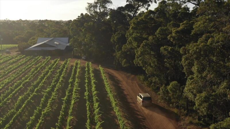 Margaret River Full-Day Wine, Local Produce & Nature Tour - A Detailed Look at the Margaret River Experience