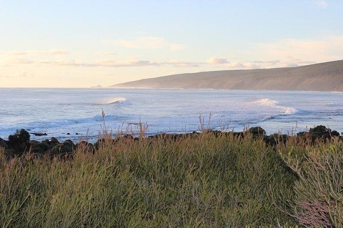 Margaret River Indulge and Discover Day Tour - What Makes This Tour Special?