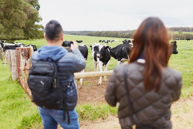 Margaret River Indulge and Discover Day Tour - McHenry Hohnen Vintners: Fine Wines with a Story