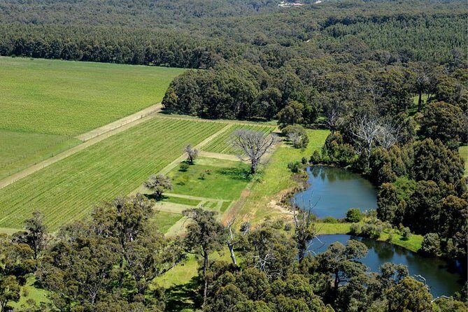 Margaret River Indulge and Discover Day Tour - Vasse Felix Winery: The Heart of Margaret River