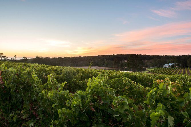 Margaret River Indulge and Discover Day Tour - The Value of This Experience