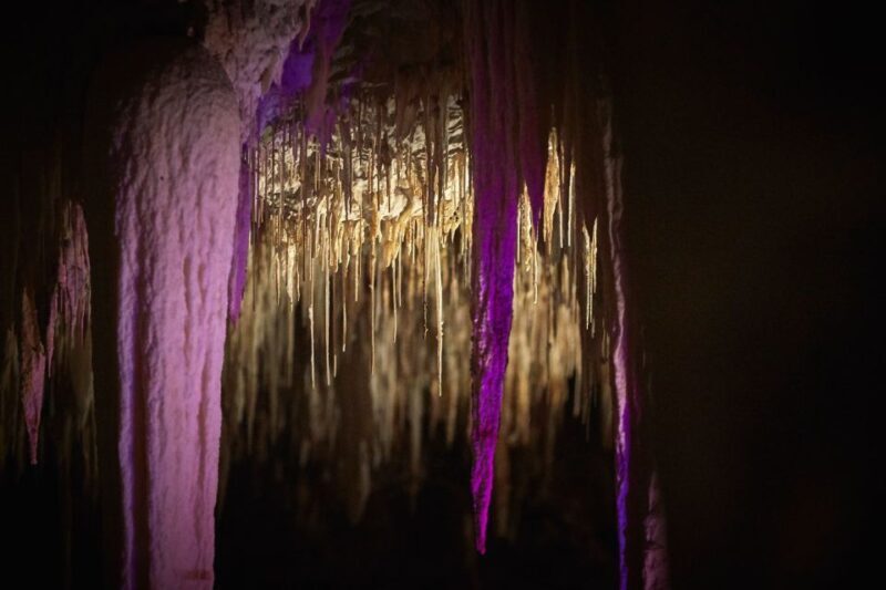 Margaret River: Lake Cave Fully-Guided Tour - Final Thoughts: Why It’s Worth Your Time