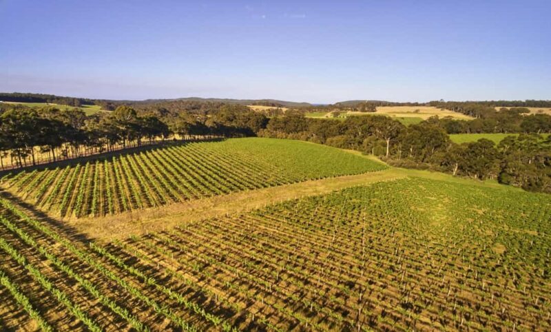 Margaret River: Leeuwin Estate Winery Art and Wine Tasting - Key Points