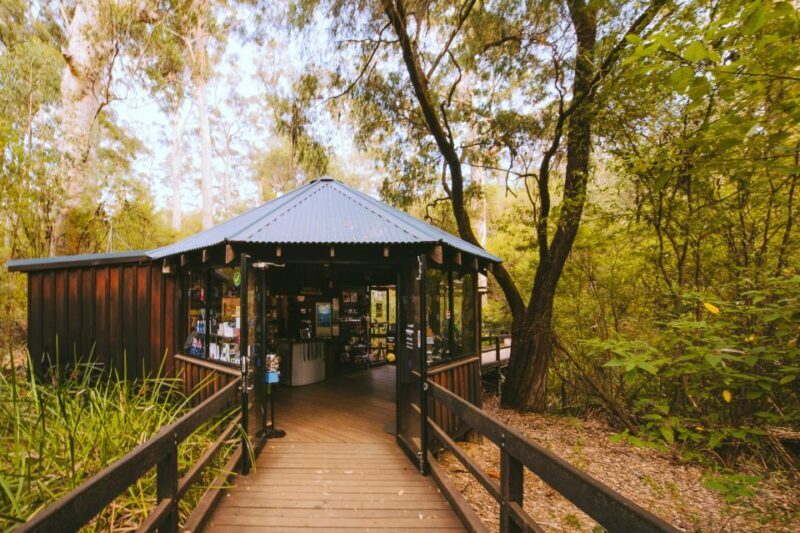 Margaret River: Self-Guided Audio Tour of Mammoth Cave - The Sum Up