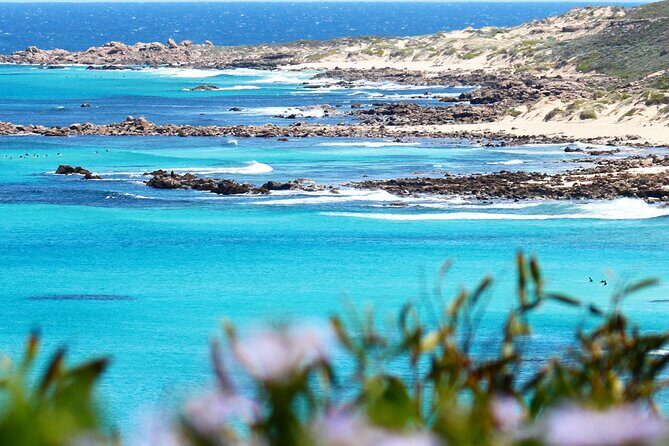 Margaret River Wine and Sights Discovery Tour from Busselton or Dunsborough - Key Points