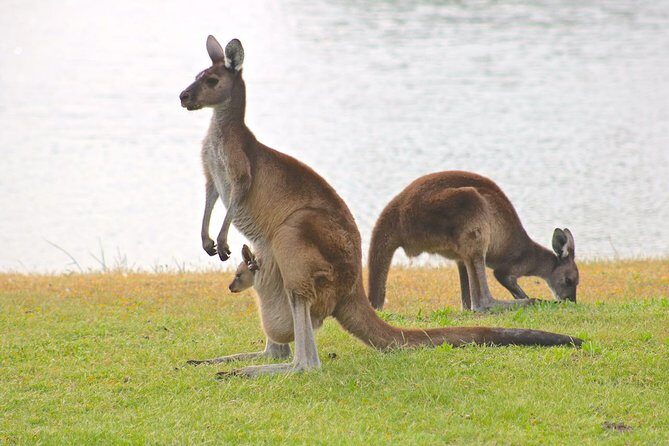 Margaret River Wine and Sights Discovery Tour from Busselton or Dunsborough - FAQs