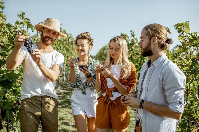 Margaret Rivers Wine & Chocolate Odyssey: Private Tour - Final Thoughts