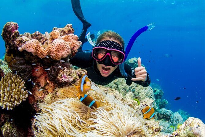 Margaritaville/Jeski Tour or Snorkeling in Montego Bay - The Margaritaville Stop