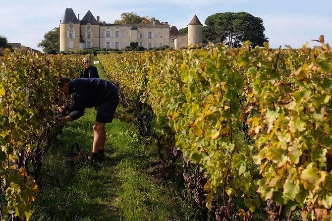 Margaux Wine Tour experience - Final Thoughts