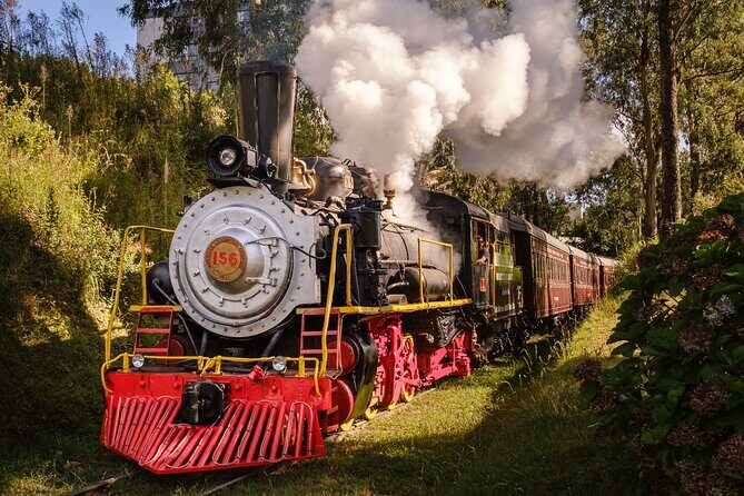 Maria Fumaça - Wines and History - The Sum Up