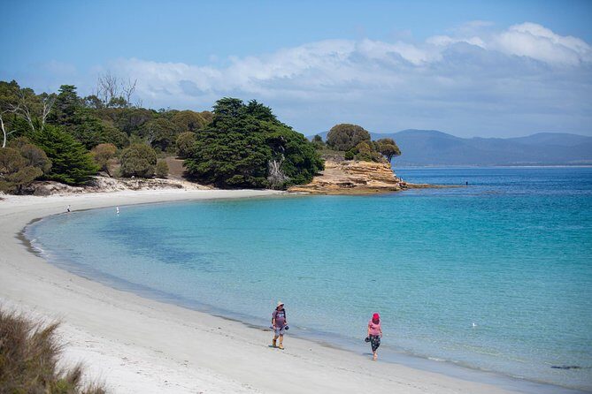 Maria Island Active Day Tour from Hobart - A Deep Dive into the Maria Island Experience
